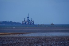 Photo 6x4 Cow & Calves from Dalmeny Drum Sands in the foreground and an o c2017