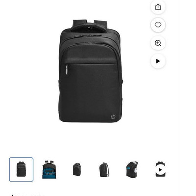 HP Professional 17.3-inch Backpack for 17.3 in Laptop, Black Solid