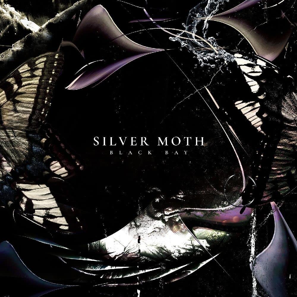 Silver Moth - Black Bay (Bella Union Records) CD Album - Image 3