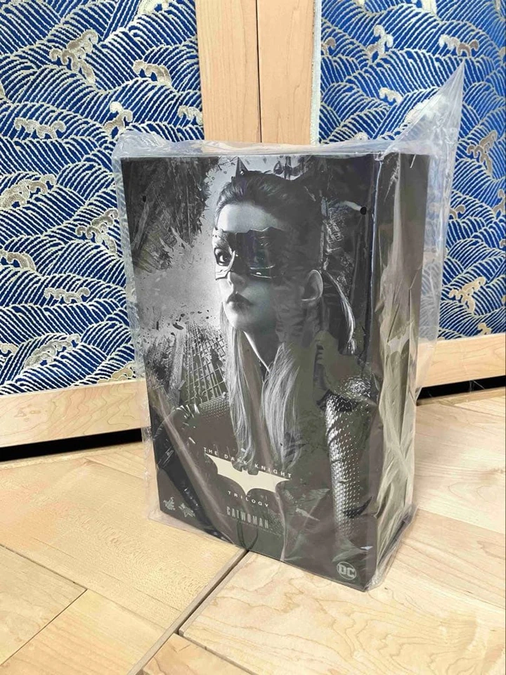 Hot Toys MMS627 Batman 1/6 The Dark Knight Trilogy Catwoman Figure In Stock - Image 3 of 3