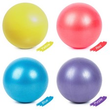 25cm Yoga Ball Anti-burst Thick Stability Ball Mini Pilates Barre Physical YDXC