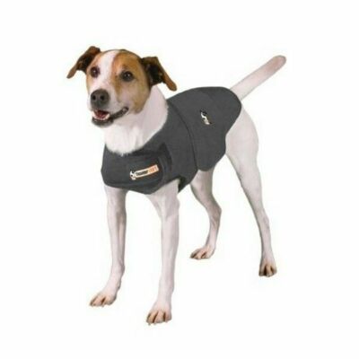 thunder jacket for dogs uk