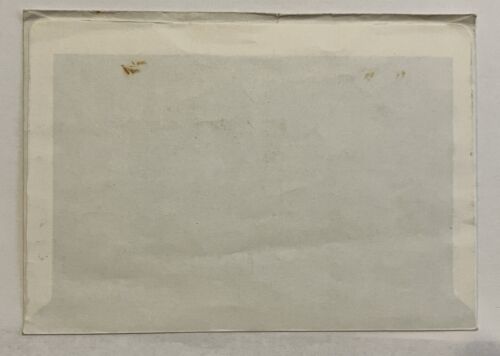 1970 SWITZERLAND PRO JUVENTUTE COMMEMORATIVE COVER BIRD CACHET - Picture 2 of 2