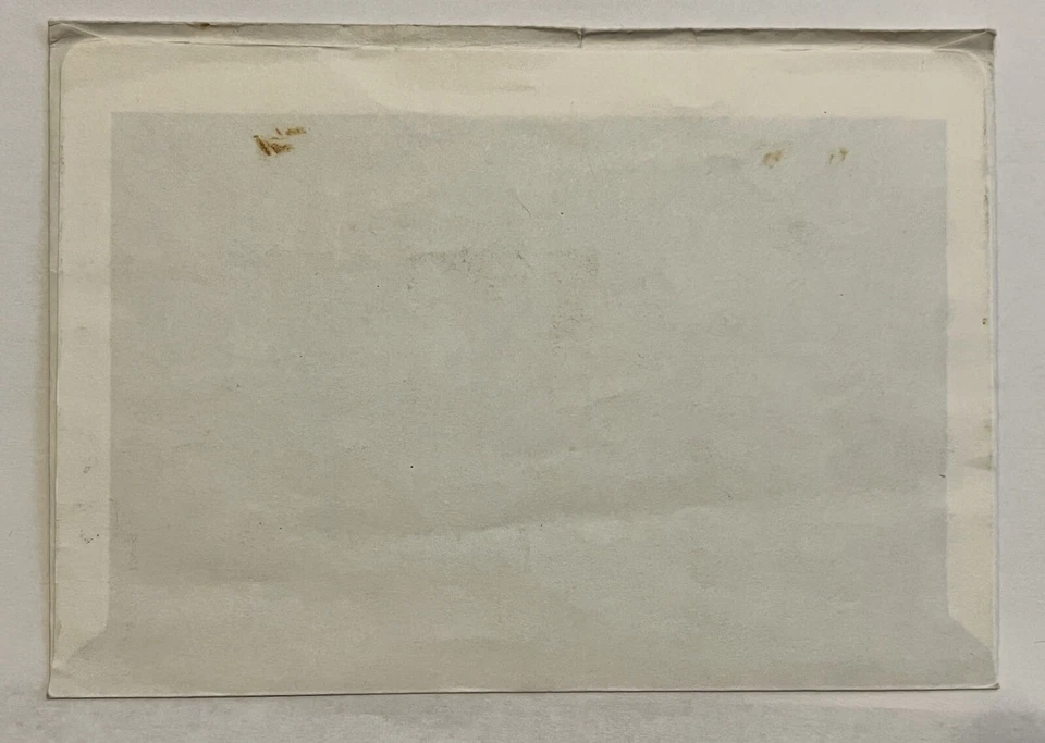 SUIZA PRO JUVENIL 1970 CUBIERTA CONMEMORATIVA CACHÉ DE AVES Foto 2 de 2