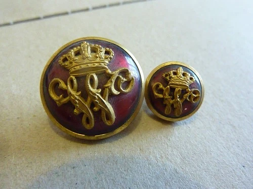 BEAUTIFUL DIPLOMATIC LIVERY BUTTONS IMPERIAL HOUSE WILLEM GUILLAUME III HOLLAND
