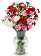 - 20 Stem Rainbow Mini Carnations (Glass Vase Included) - Fresh Flowers for N...