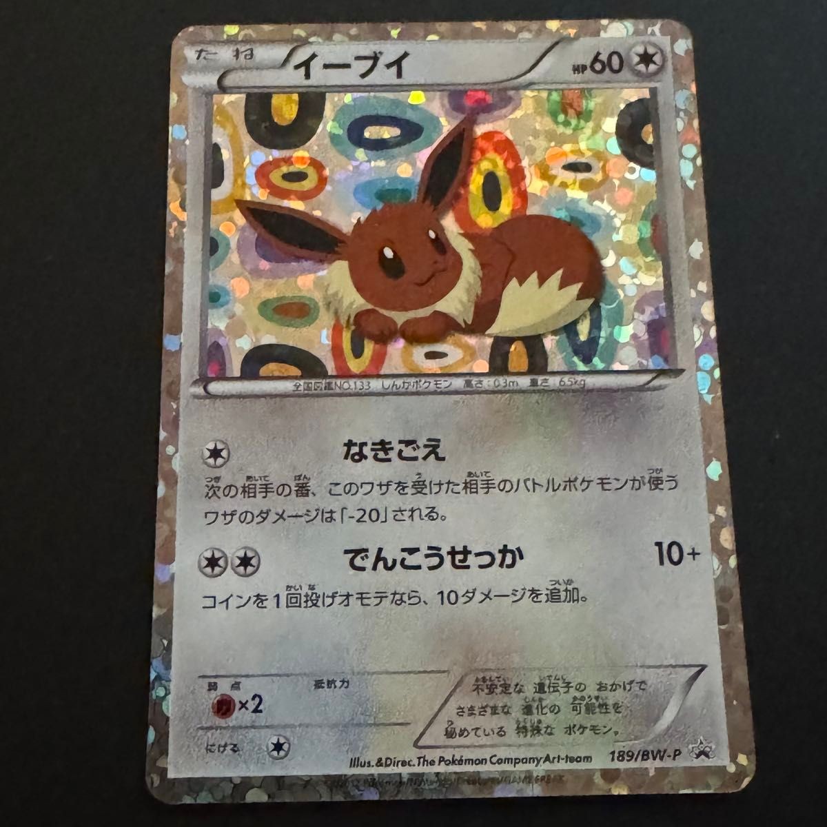 Eevee 189/BW-P Holo 2012 Black & White Promo Japanese Rare Pokemon Card MP