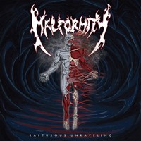 Malformity - Rapturous Unraveling - Vinyl Record 7 - G72Z