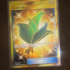 Pokemon Card Life Herb 084/066 Sm6b Champion Road Japanese Holo UR