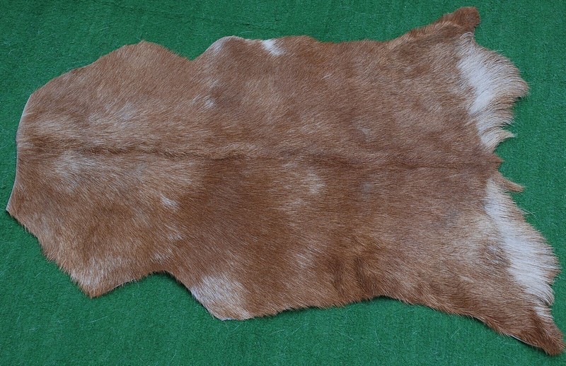 GOAT Western taxidermy Hide Rug Natural Pattern Fur Goat Hide Rode SA-3908