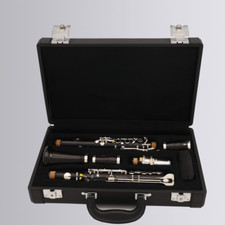 20-key Woodwind Professional Ebony Clarinet in G