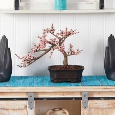 15” Cherry Blossom Bonsai Styled Artificial Tree w/Decor Planter. Retail $98