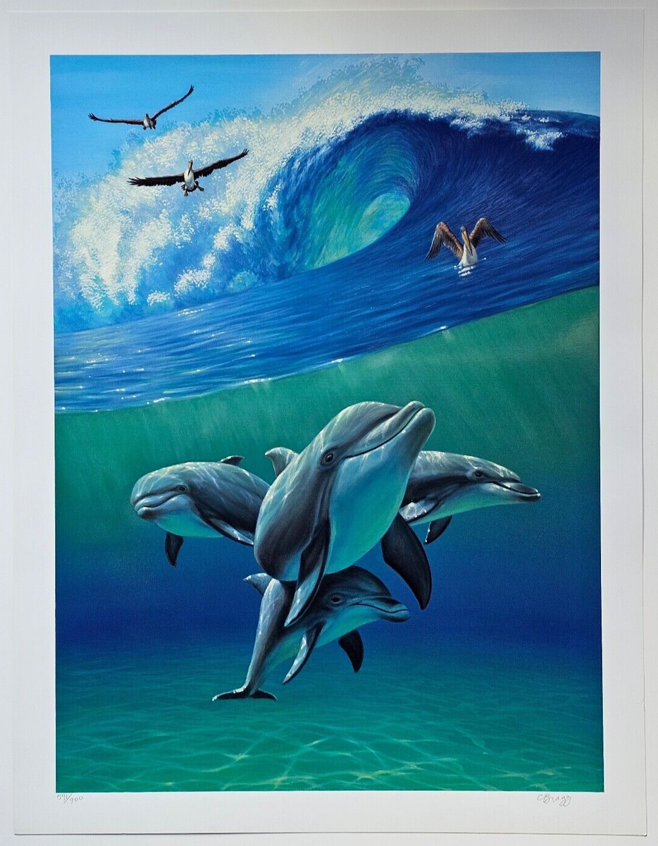 Dolphin Art Under the Waves 2 Dolphins Pelican hand signed #d