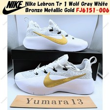 Nike Lebron Tr 1 Wolf Gray White Bronze Metallic Gold FJ6151-006 Men's Size