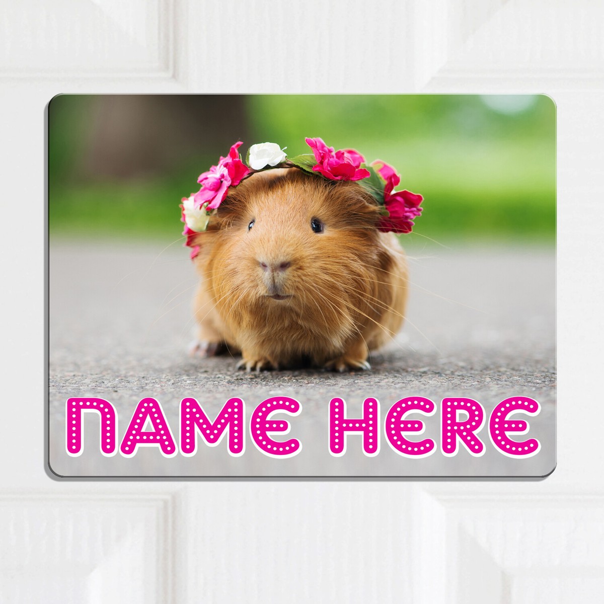 Guinea Pig Door Sign Bedroom Name Plaque Personalised Girls Room Childrens  KD56