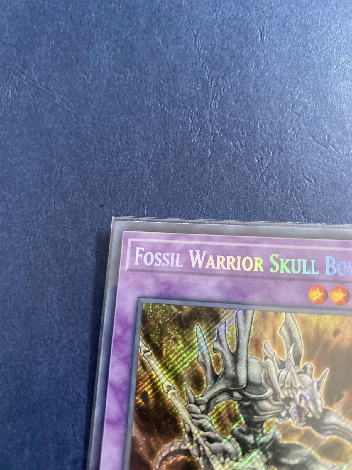 Fossil Warrior Skull Bone, Card Details