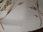 11" OVAL PLATTER Midwinter 'Wild Oats' Stonehenge Collection Tableware-England — photo 9