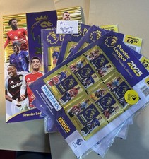 Panini Premier League 2025 Sticker Sammlung Konvolut.