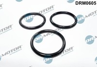 Dichtung, Wasserpumpe FÜR Ford, CitroËN, Peugeot - Dr.Motor Automotive DRM0605