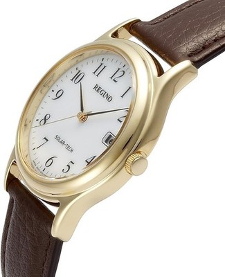 Citizen REGUNO RS25-0033B Solar Tech Men s Watch New Japan