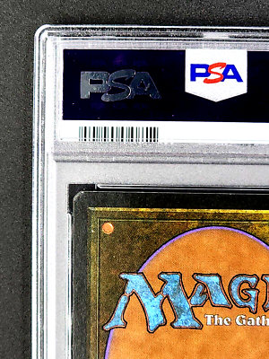 1994 MtG Magic the Gathering Revised Cursed Land Uncommon PSA 9