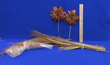 Dried Grasses Wooden Flower Spiral Tendral Natural Flower Arranging Lot of 2