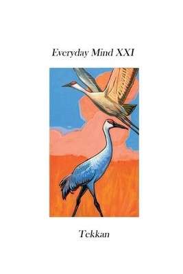 Tekkan Everyday Mind XXI (Paperback) Every Day Mind (UK IMPORT)
