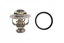 Thermostat Lexus RX