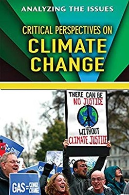 Critical Perspectives on Climate Change Hardcover Stephen Feinste