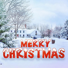 Merry Christmas Yard Signs 16" Weather Resistant with Stakes  Christmas Outdoor