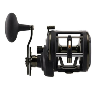 リール DAIWA - morethan  pe SV Daiwa MORETHAN PE SV 8.1L TW Baitcasting Reel From Japan | eBay