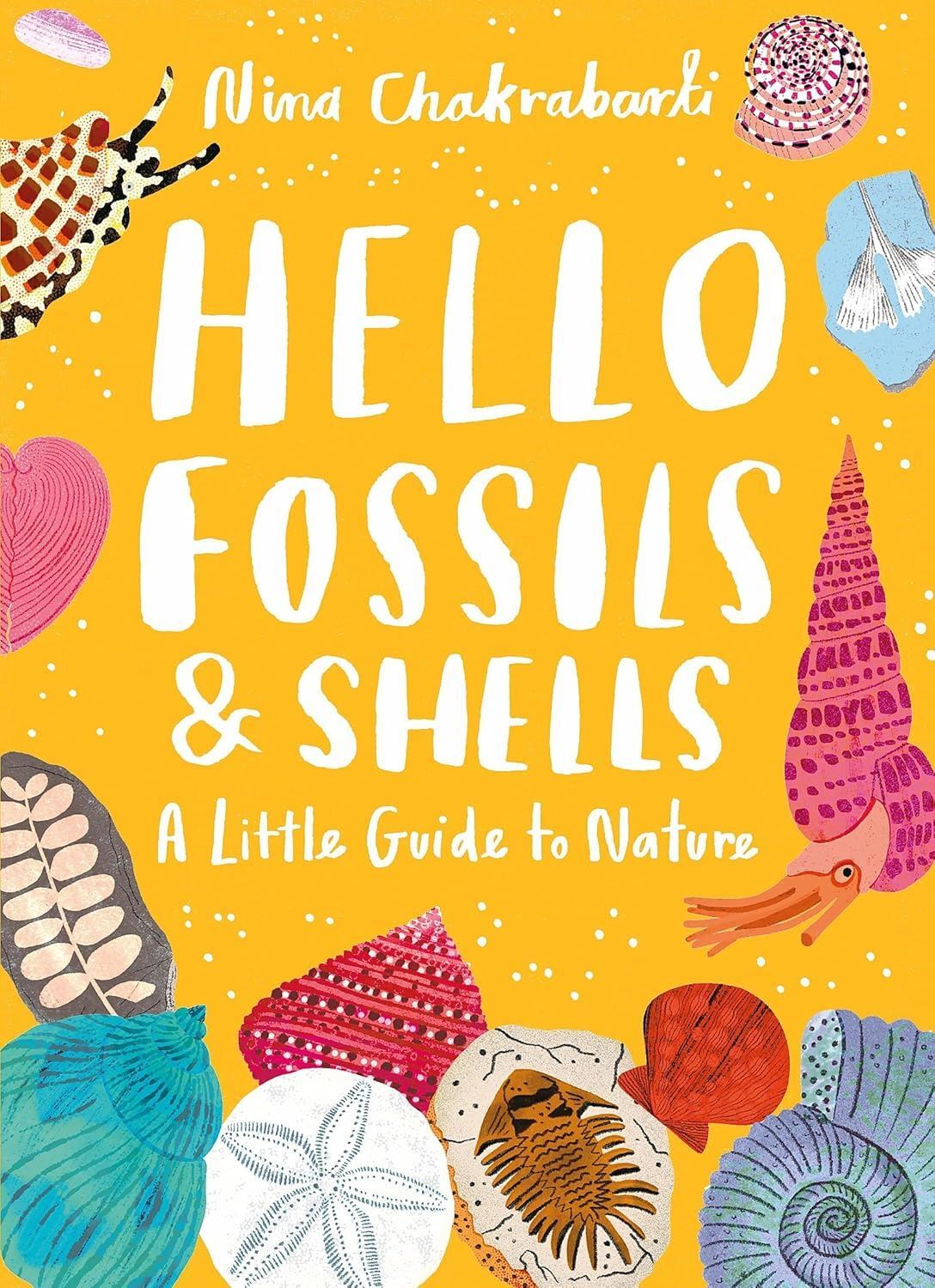 Little Guides to Nature: Hello Fossils and Shells by Nina Chakrabarti - Image 8