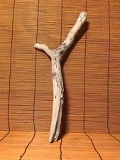 Beautiful 15" DRIFTWOOD Piece Terrarium Taxidermy Aquarium Art Reptile DECOR