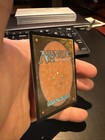 Picture 5 of 6