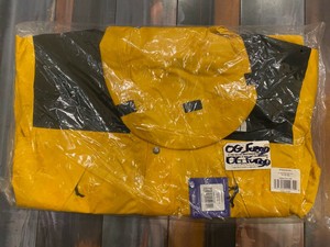 the north face olivia kim