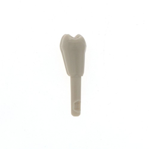 Modelo de Diente Dental con 32 Piezas Ajuste KaVo Modelo Básico Mecanismo de Retención de Dientes - Imagen 9 de 126