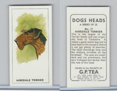 G0-0 G.P. Tea, Dogs Heads, 1963, #17 Airedale Terrier