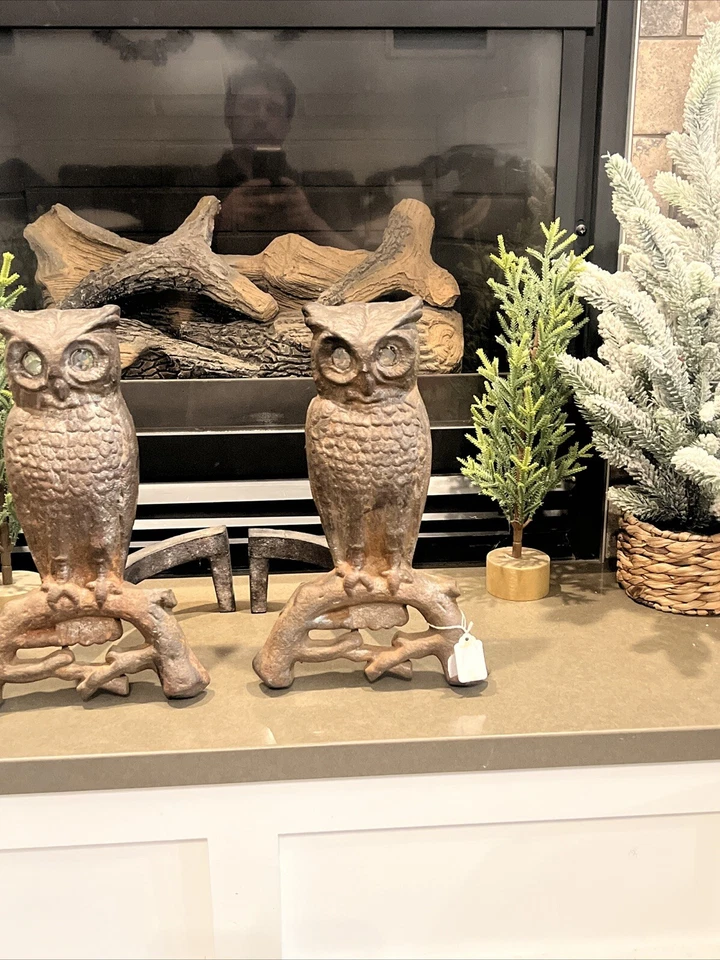 Antique Owl Fireplace Andiron Pair Antique Rare Cast Iron w/Plastic Eyes - Image 2 of 4