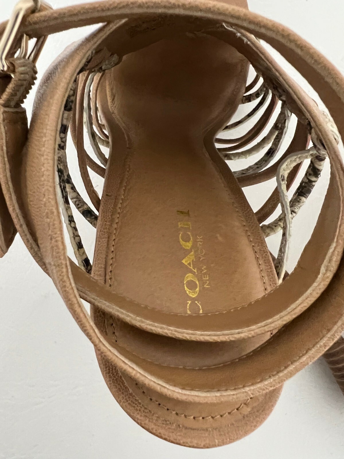 Coach JODY Stiletto Heels women's Tan /Python Print A… Gem