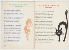 2 VECCHIE CARTOLINE - PREGHIERA DEL GATTO E DEL CAVALLO - FORMATO GRANDE