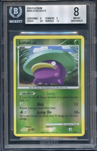 Lotad graded BGS 8 for sale on eBay