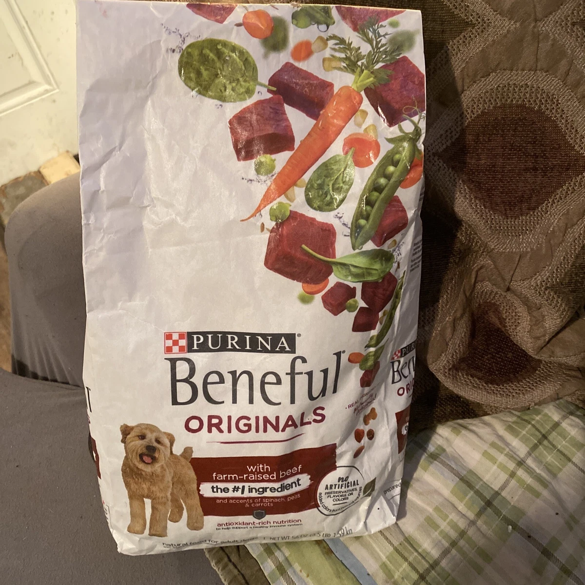 Beneful dog top food big bag