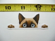 PEEKING SIAMESE SMALL STICKER DECAL CAT KITTEN PET LOVE PEEK A BOO