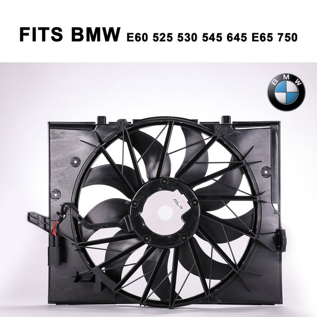 Brushless Motor Radiator Cooling Fan 600 W Fit BMW 2008 528xi YT for