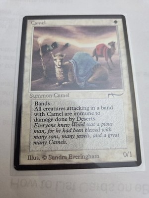 MTG, Camel-Arabian Nights Regular NM