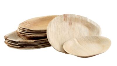 100x Palmblatt Party-Teller oval Eco-Geschirr nachhaltig kompostierbar 2 Größen 