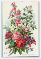 Wheeler & Wilson Mf'g Co. Floral No. 9 Sewing Machine Bridgeport CT - Family Use