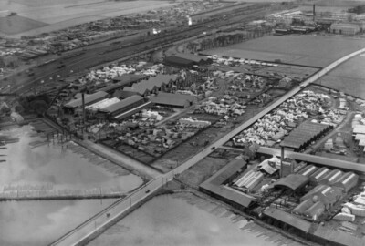 Brownlee & Co Ltd Caledonian Saw Mills, Grangemouth Scotland 1930s OLD PHOTO 6