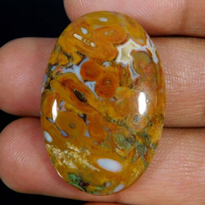 Natural Unique Palm Root Agate Oval Cabochon Loose Gemstone 38.15Cts.