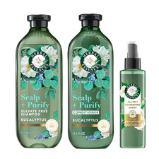 Scalp Purify Eucalyptus Sulfate Free Shampoo and Conditioner, and All-In-One N